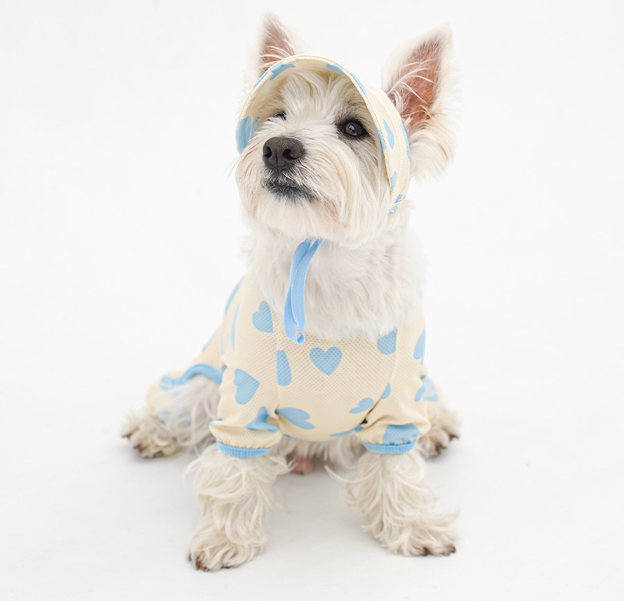 copy-1774876261-1-EC98ACEC9DB8EC9B90EC8381EC84B81_2_03