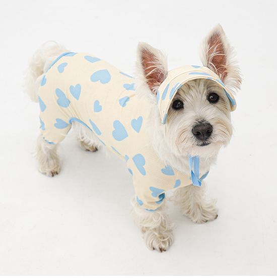  | 貝狗商行｜韓國寵物選品