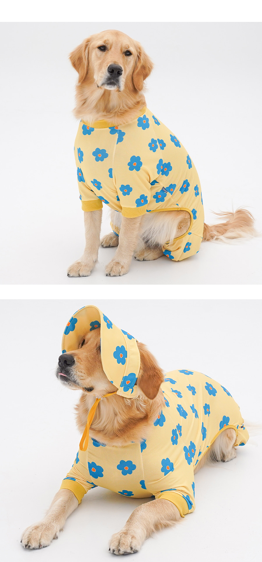 copy-1745221518-1-EC98ACEC9DB8EC9B90EC8381EC84B81_2_02