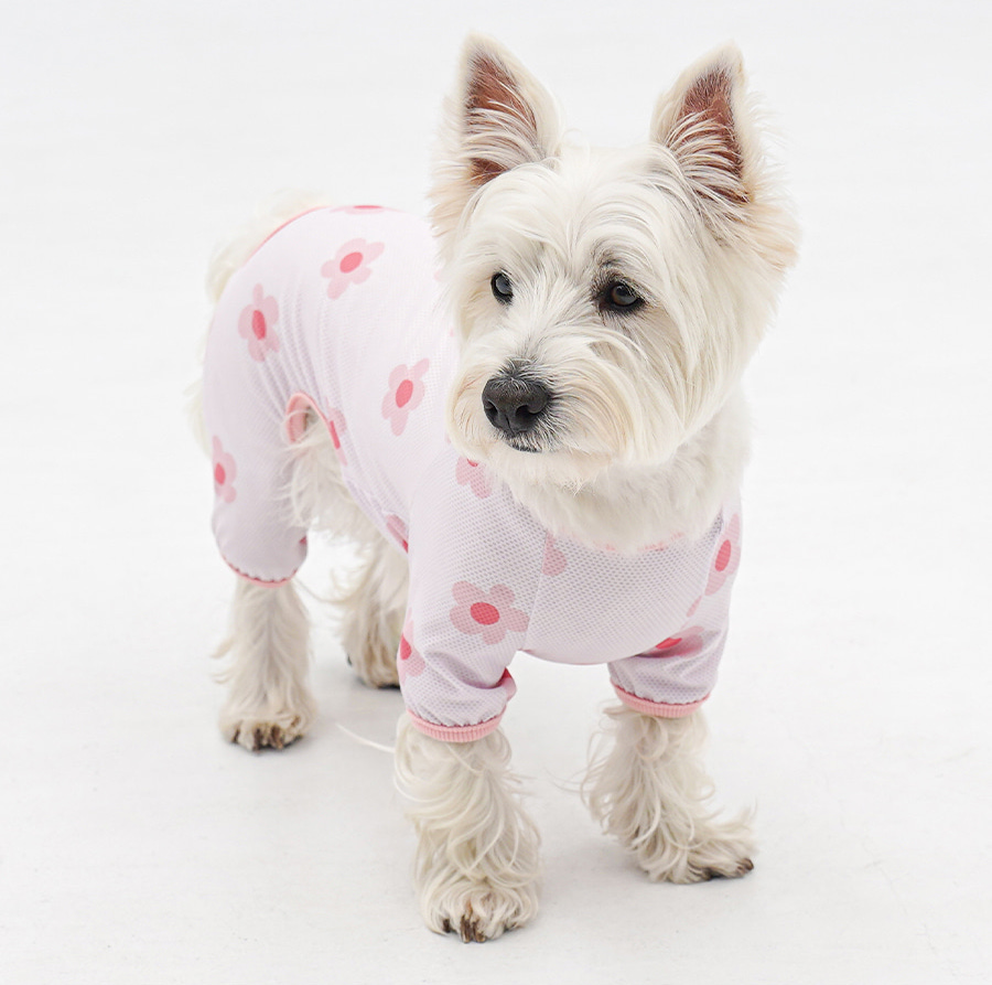 2-EC98ACEC9DB8EC9B90EC8381EC84B82_3_01 (1)