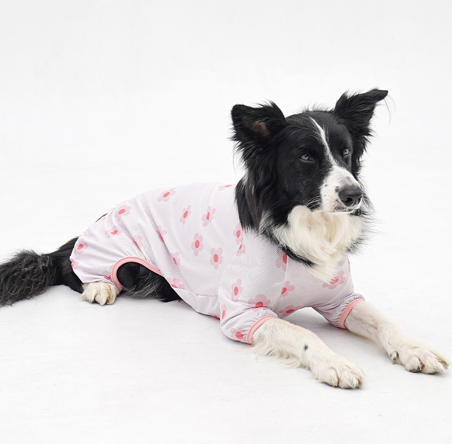 2-EC98ACEC9DB8EC9B90EC8381EC84B82_1_06 (1)