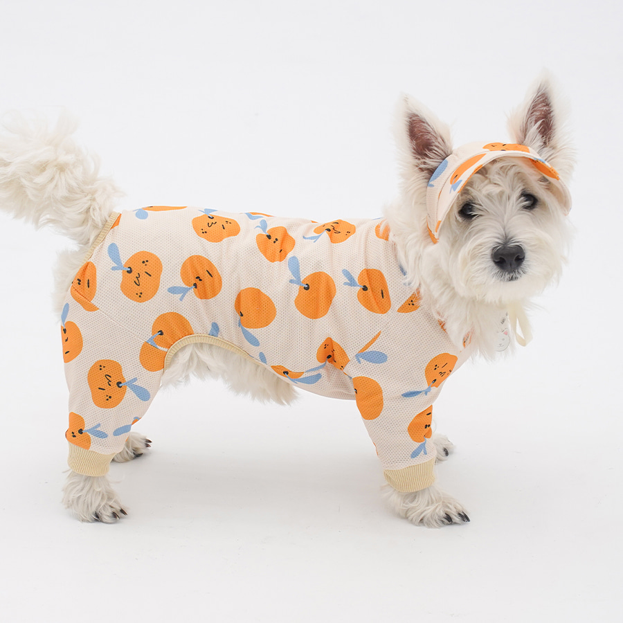 copy-1745231356-1-EC98ACEC9DB8EC9B90EC8381EC84B81_2_04