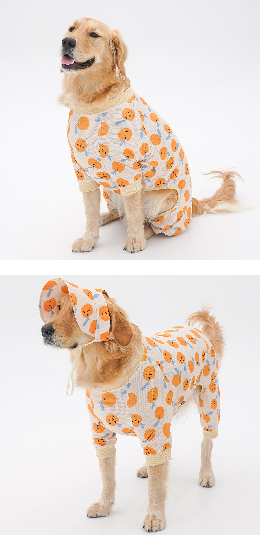 copy-1745231357-1-EC98ACEC9DB8EC9B90EC8381EC84B81_3_02