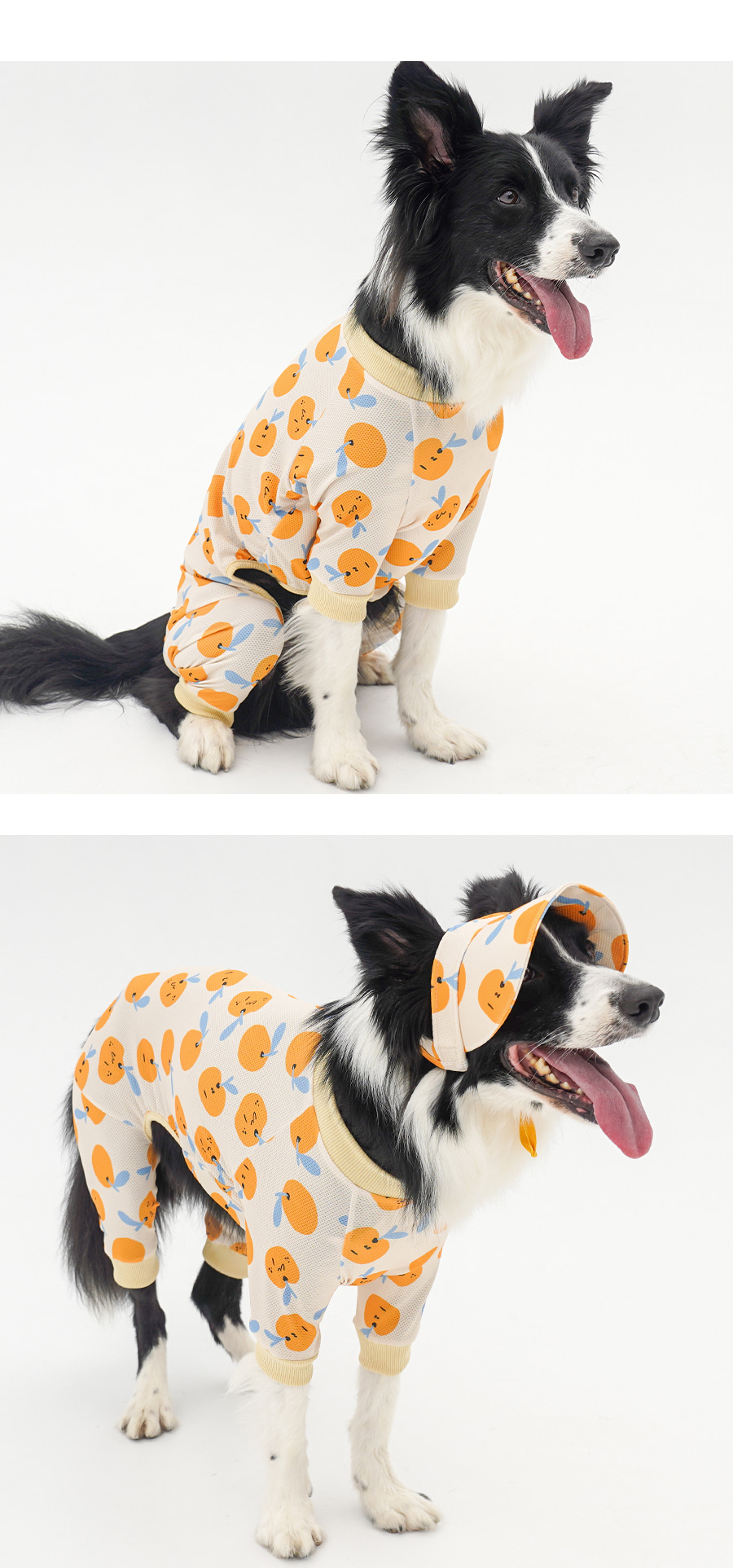 copy-1745231357-1-EC98ACEC9DB8EC9B90EC8381EC84B81_2_02