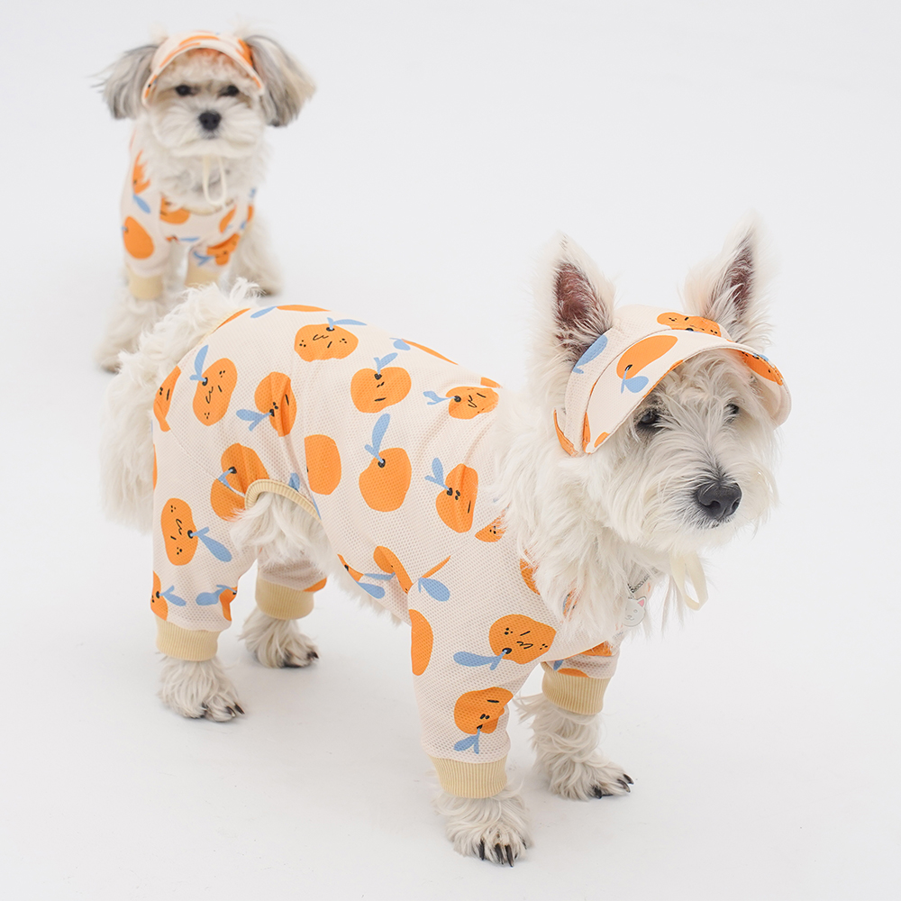 748c17529ef251d3b15853e5f82a2175