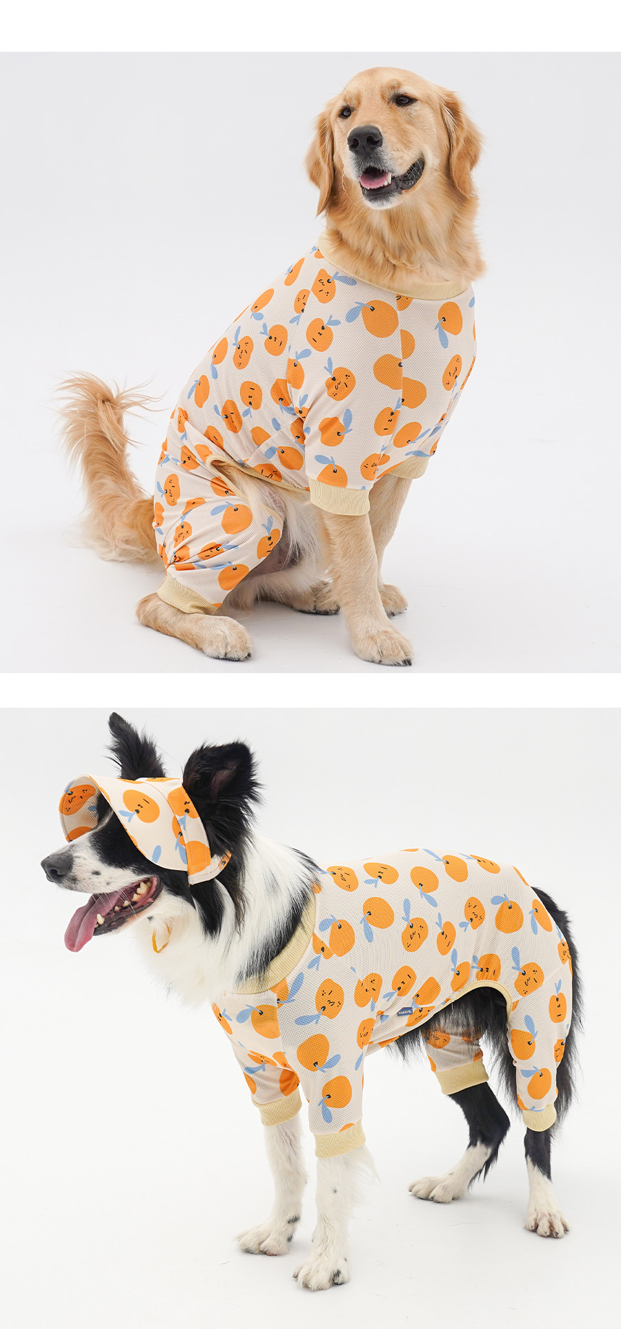 copy-1745231357-1-EC98ACEC9DB8EC9B90EC8381EC84B81_1_02