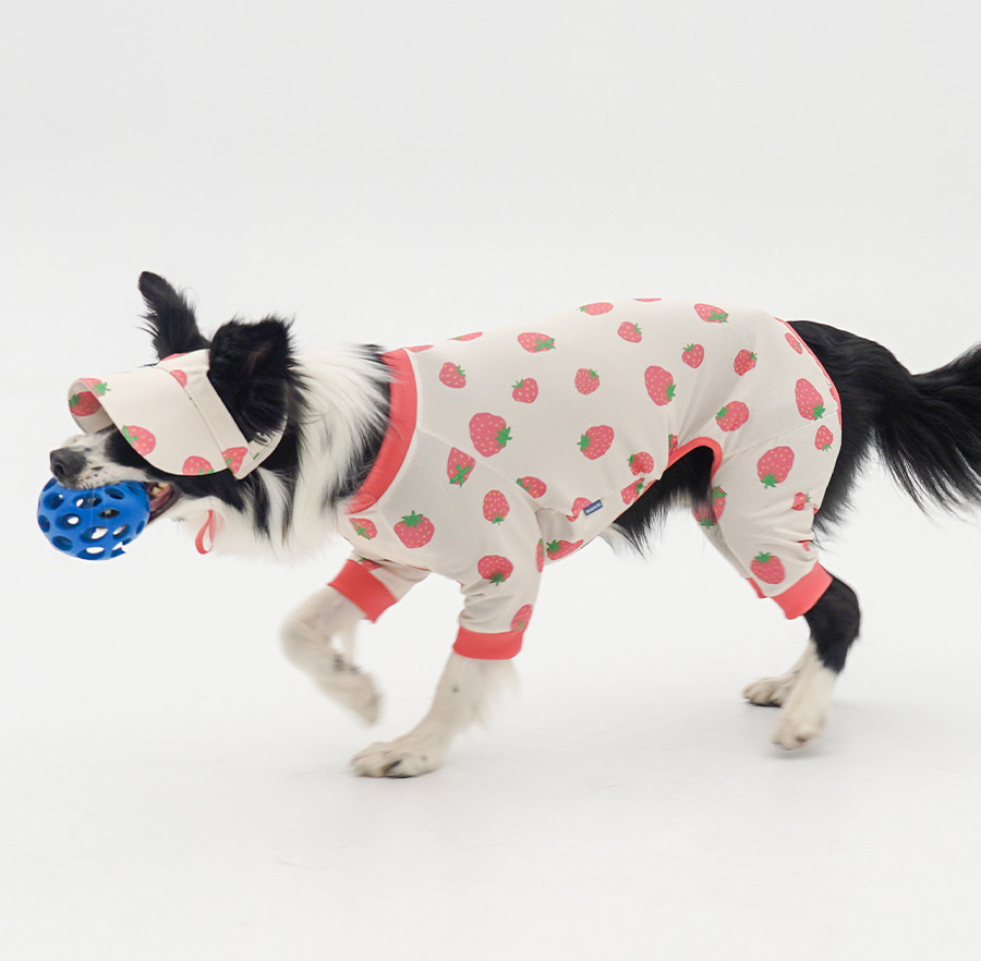 copy-1745220933-2-EC98ACEC9DB8EC9B90EC8381EC84B82_2_02