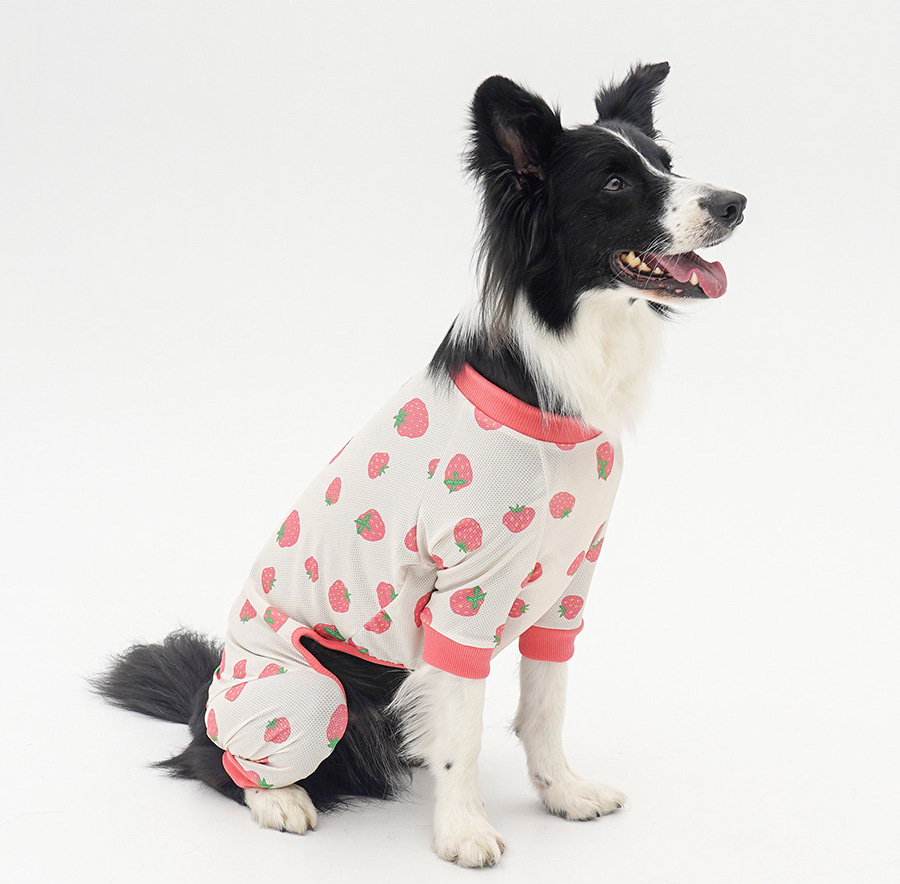 copy-1745220933-1-EC98ACEC9DB8EC9B90EC8381EC84B81_2_02