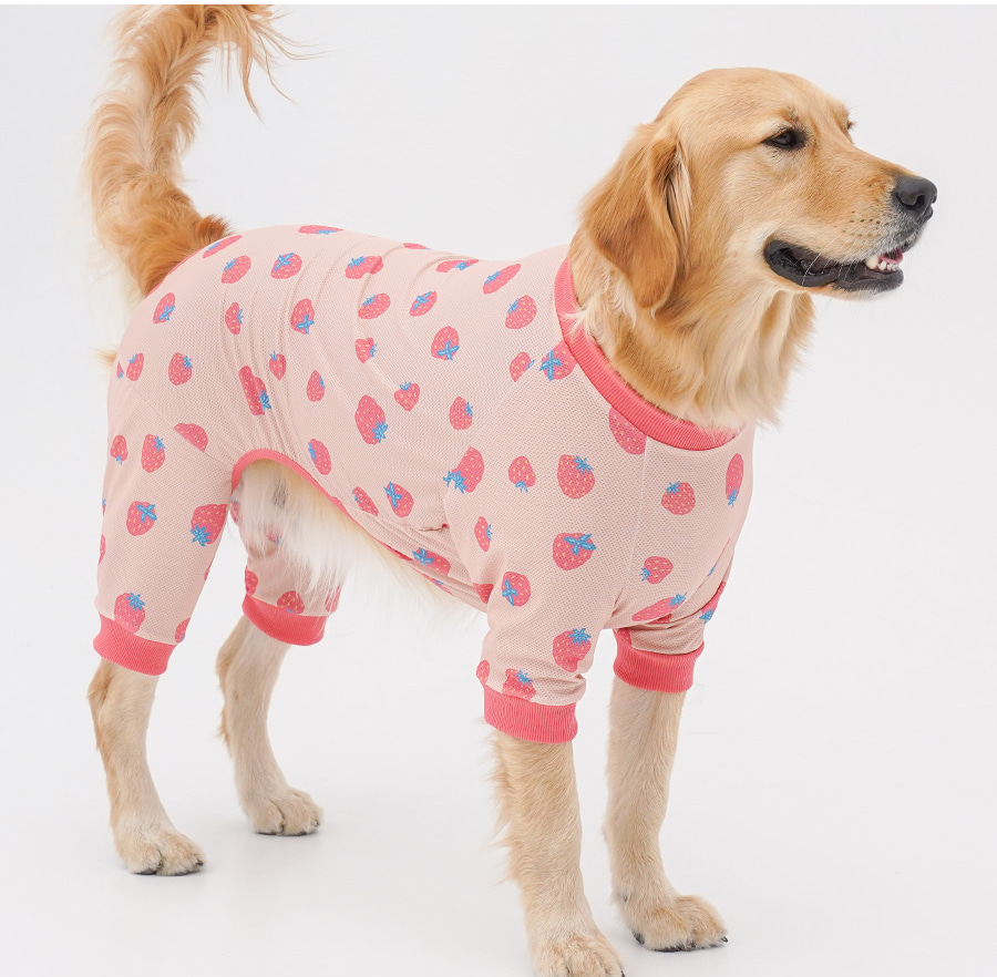 copy-1745220932-1-EC98ACEC9DB8EC9B90EC8381EC84B81_1_02