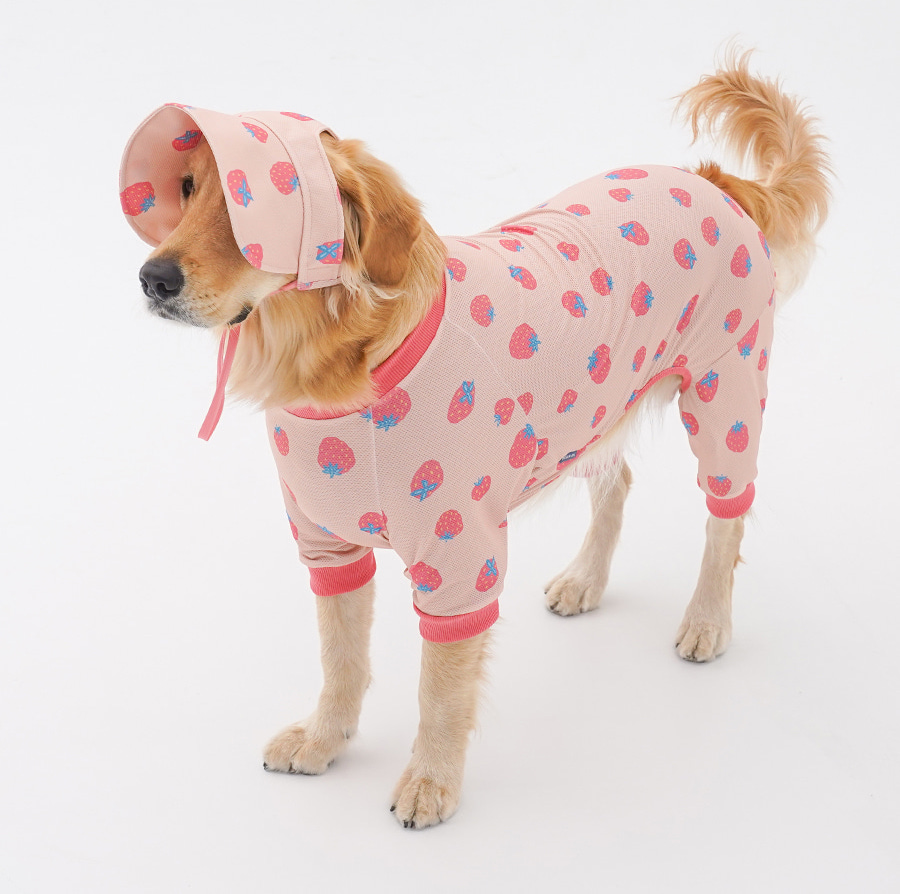 copy-1745220933-2-EC98ACEC9DB8EC9B90EC8381EC84B82_2_02 (1)