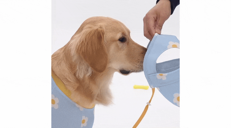 imgi_11_EC8381EB8BA8_EBAAA8EC9E90_EB8C80ED9895EAB2AC_GIF