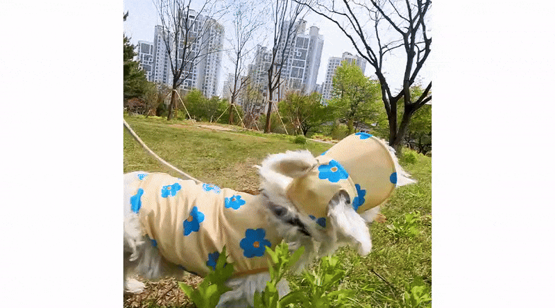 imgi_9_EC8381EB8BA8_EBAAA8EC9E90_ED84B8EAB8B0_GIF