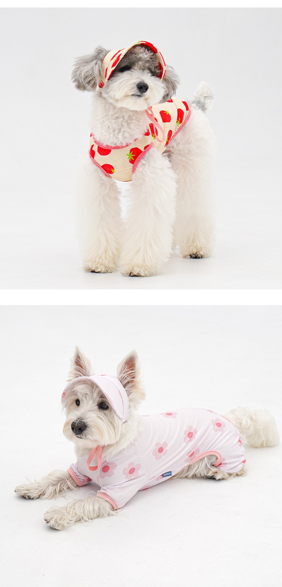 imgi_20_1-EBAAA8EC9E90EC8381EC84B81_3_03