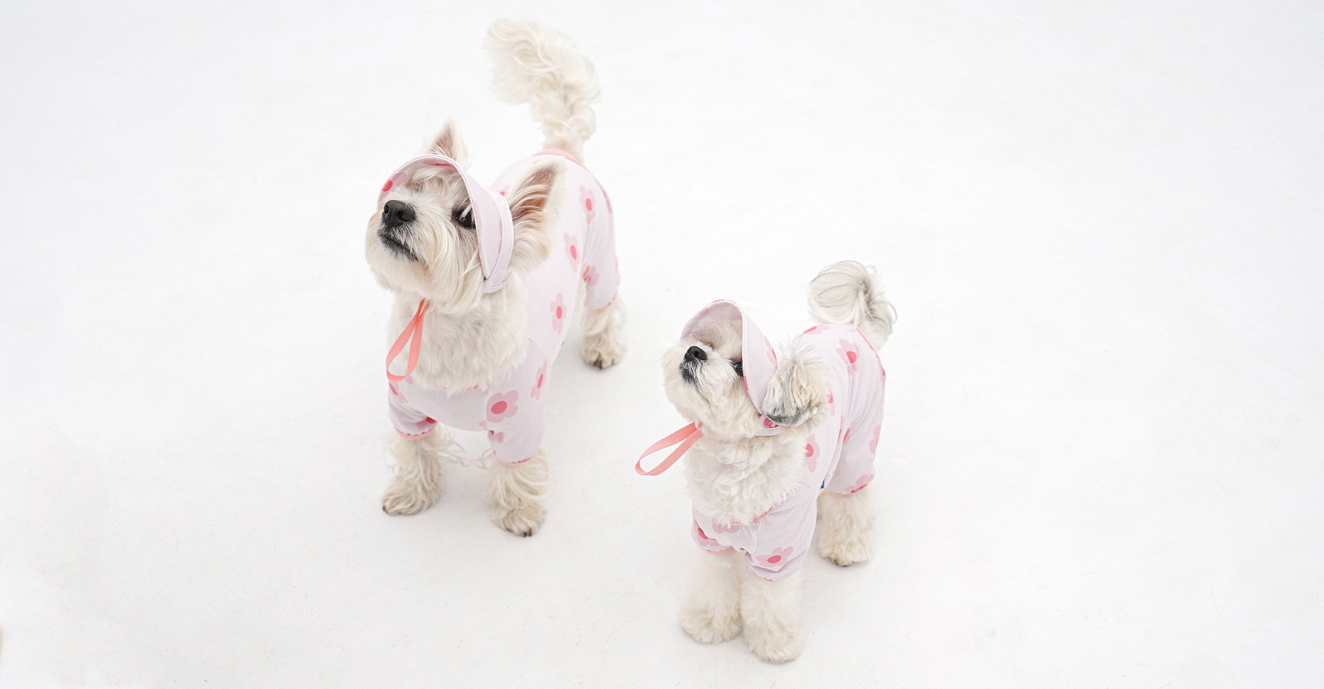 imgi_40_195ae5dac86d1aa1d64cd093c3454f19