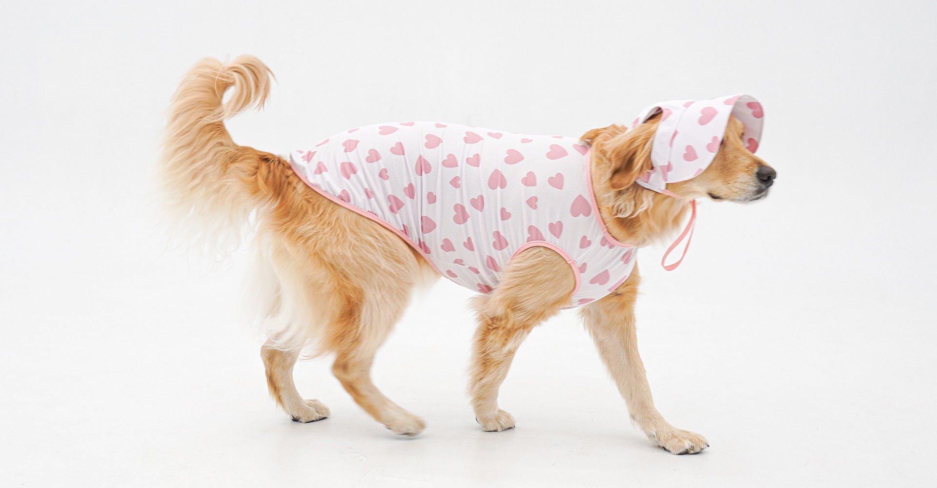 imgi_41_d9a51bdfae68d8f715e18de7c82796e5