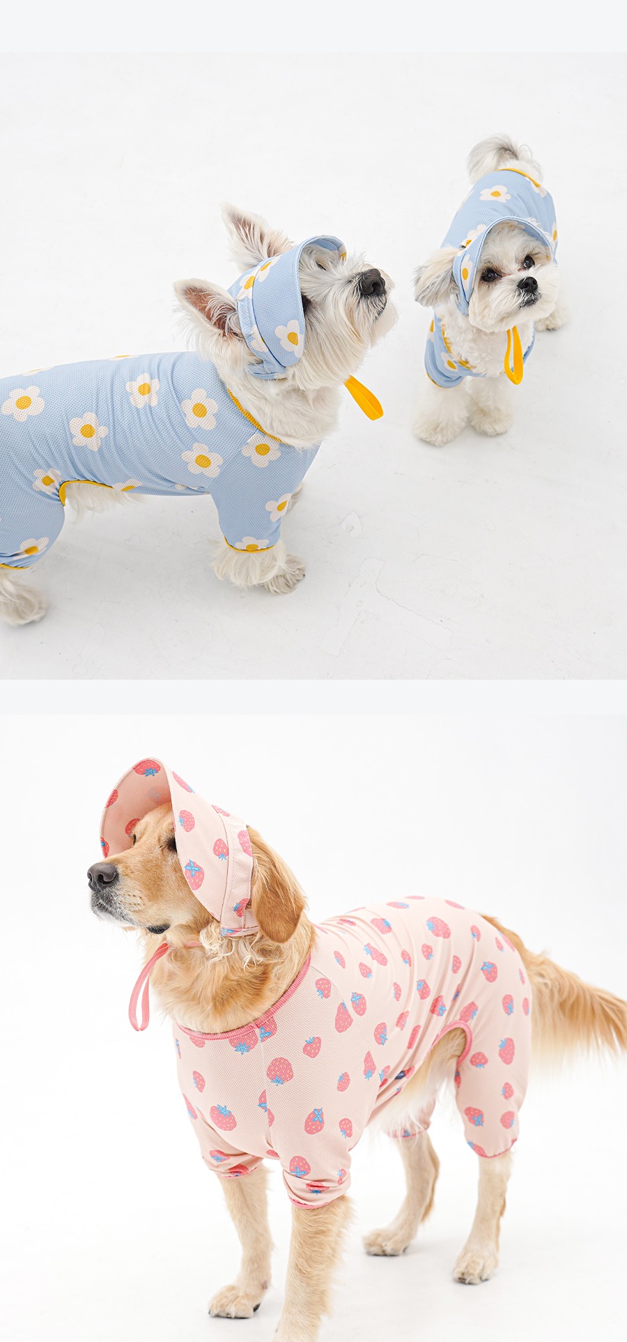 imgi_12_1-EBAAA8EC9E90EC8381EC84B81_1_02