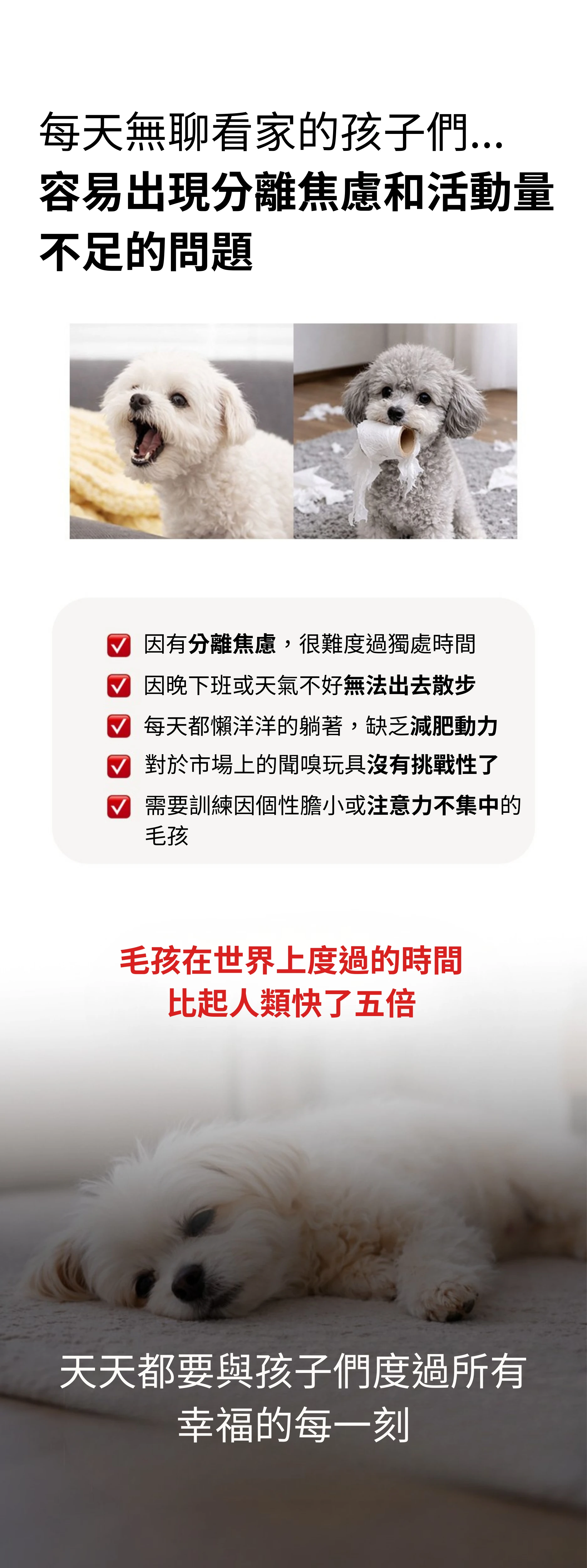 4551_697076b1a73e0.png