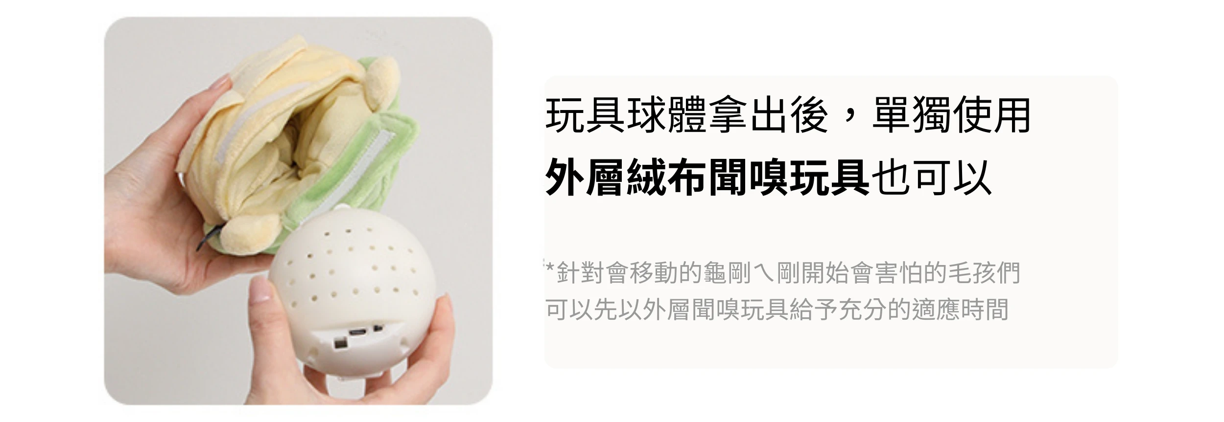 4551_69707ceb556bd.png