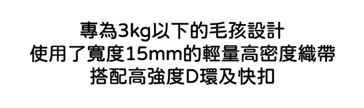 螢幕擷取畫面 2026-05-14 164354