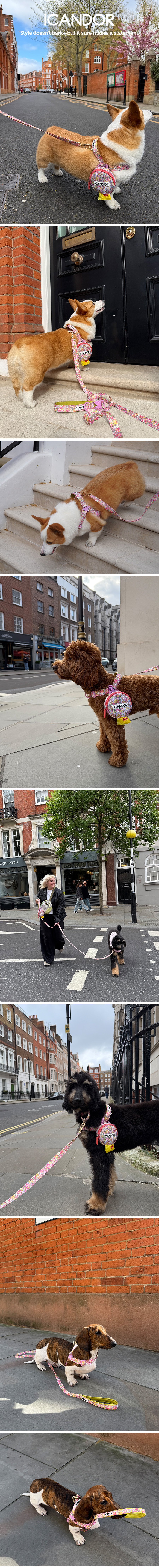 1_EC9DB4EBAFB8ECA780_EBB3BCED8AB8_Flora