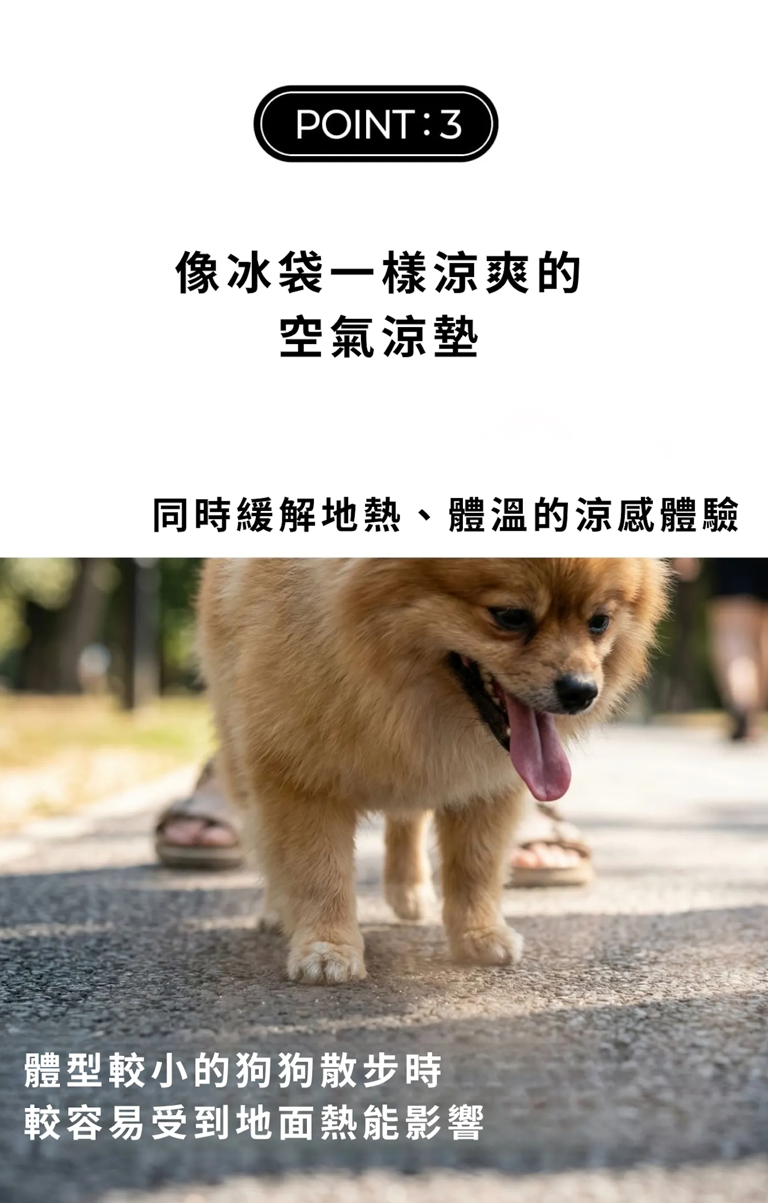 17060434