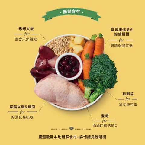 imgi_10_ChickenTurkeyCasserole-1