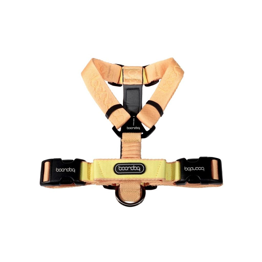 imgi_25_플레이하네스_피치3