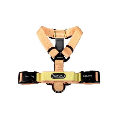 imgi_25_플레이하네스_피치3