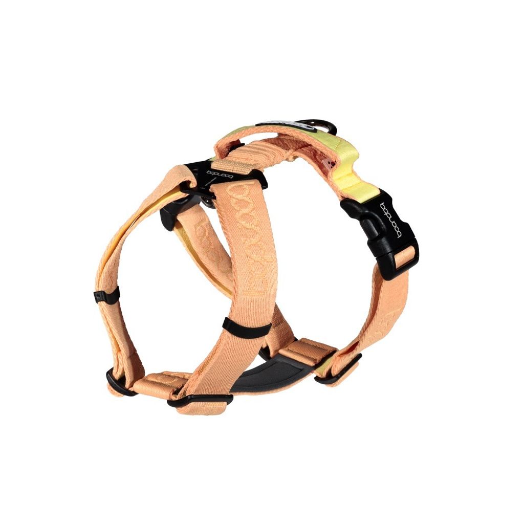 imgi_24_플레이하네스_피치