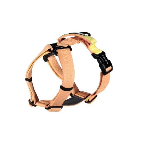 imgi_24_플레이하네스_피치