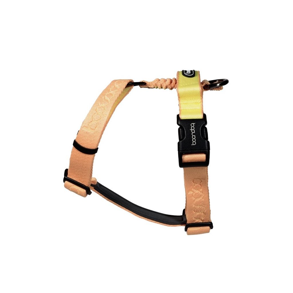 imgi_26_플레이하네스_피치2