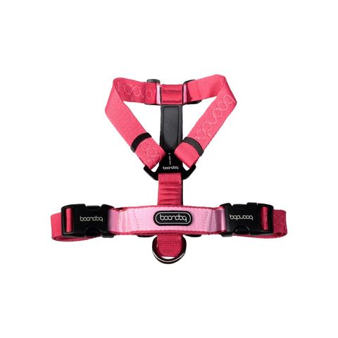 imgi_25_플레이하네스_스트로베리3