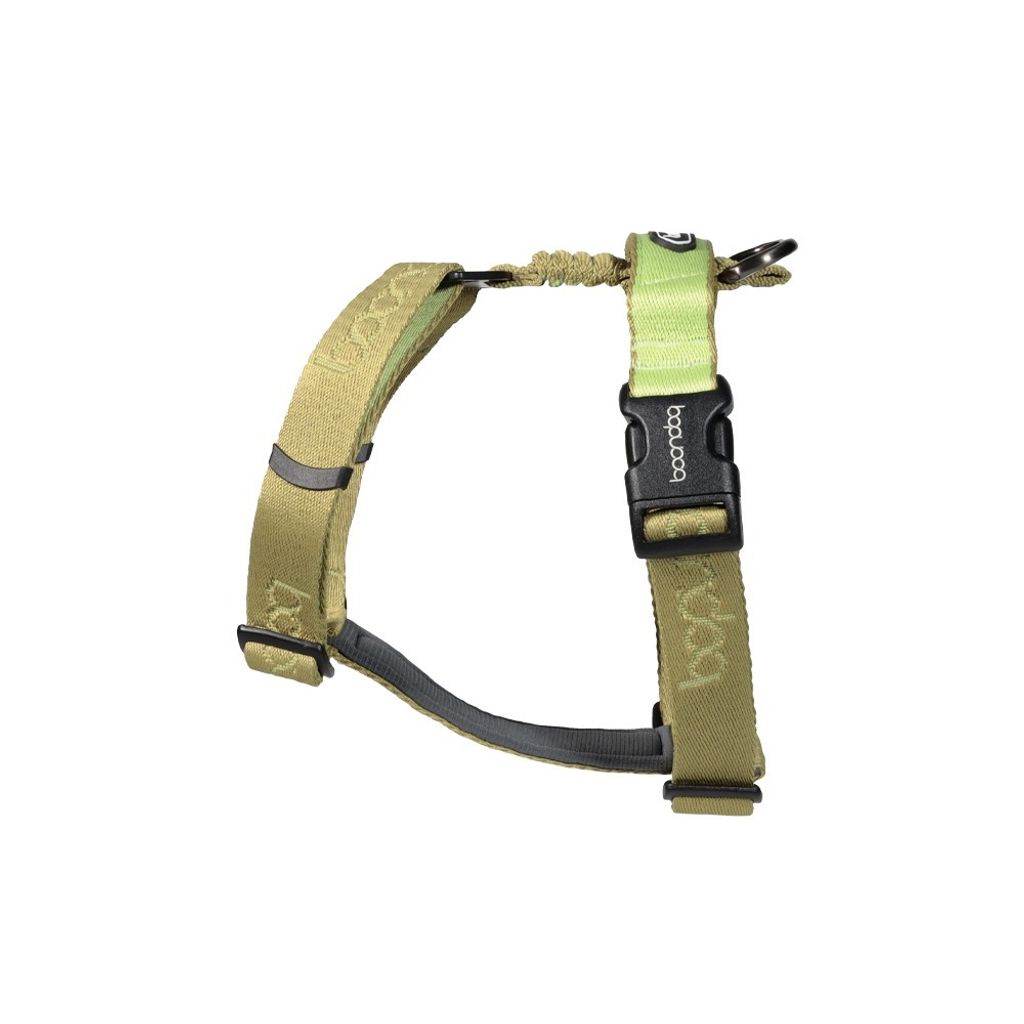 imgi_26_플레이하네스_키위2