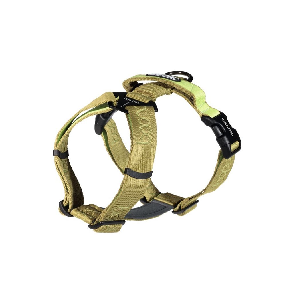 imgi_24_플레이하네스_키위