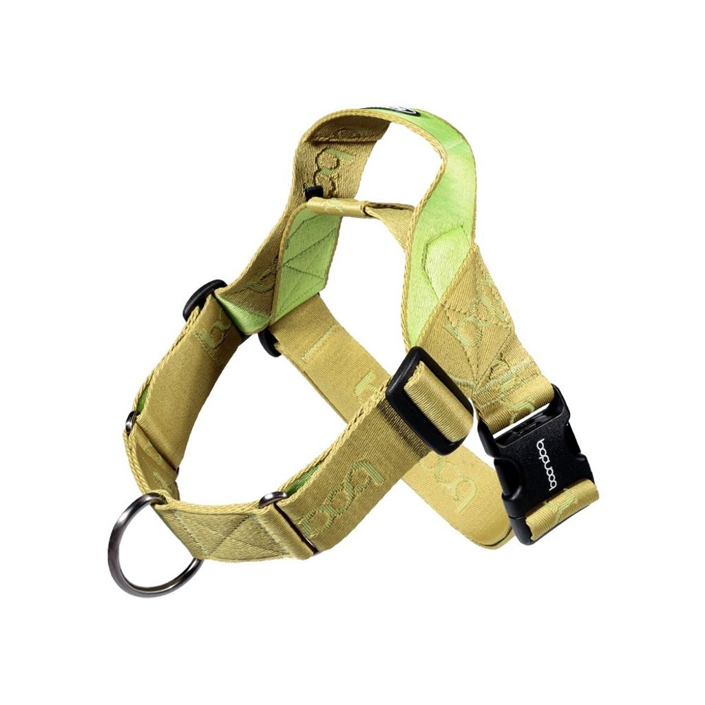 imgi_25_0109하네스_키위