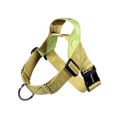 imgi_25_0109하네스_키위