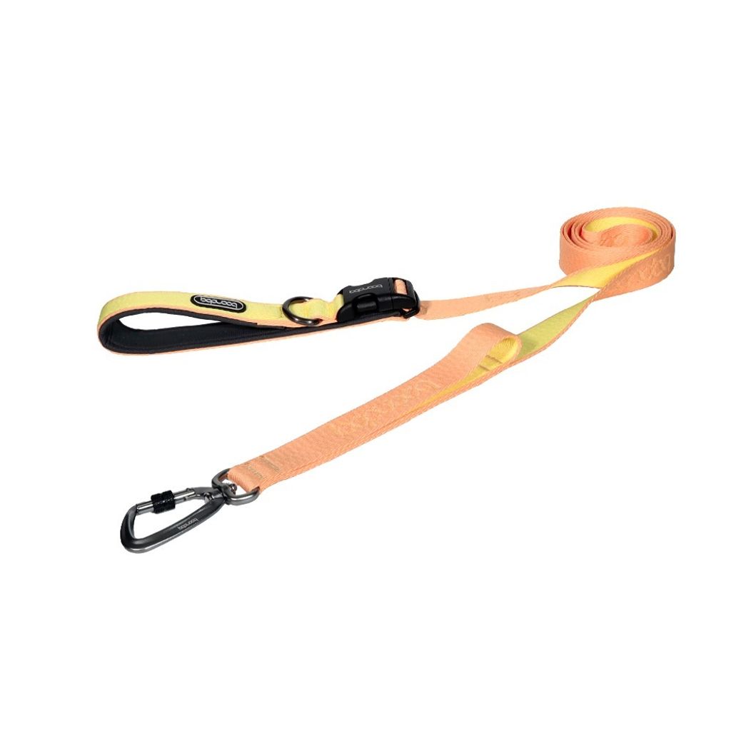 imgi_30_플레이리쉬2.0_피치