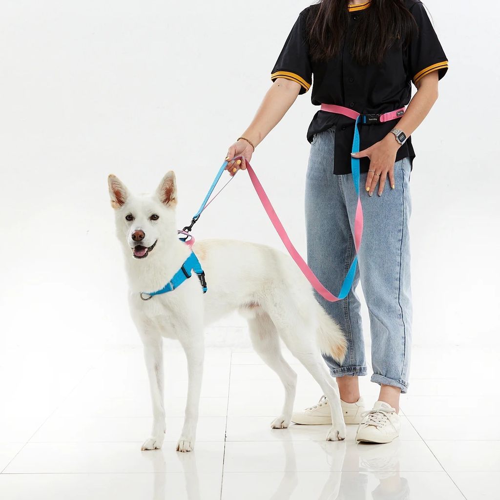 imgi_107_PlayLeash2.0_7