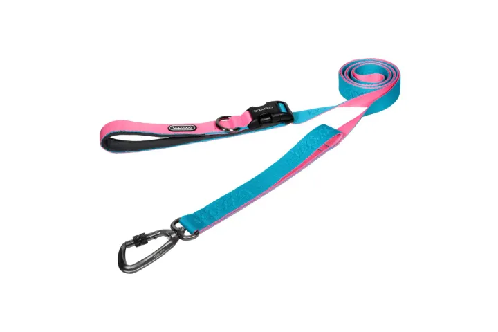 PlayLeash2.0_AquaPink