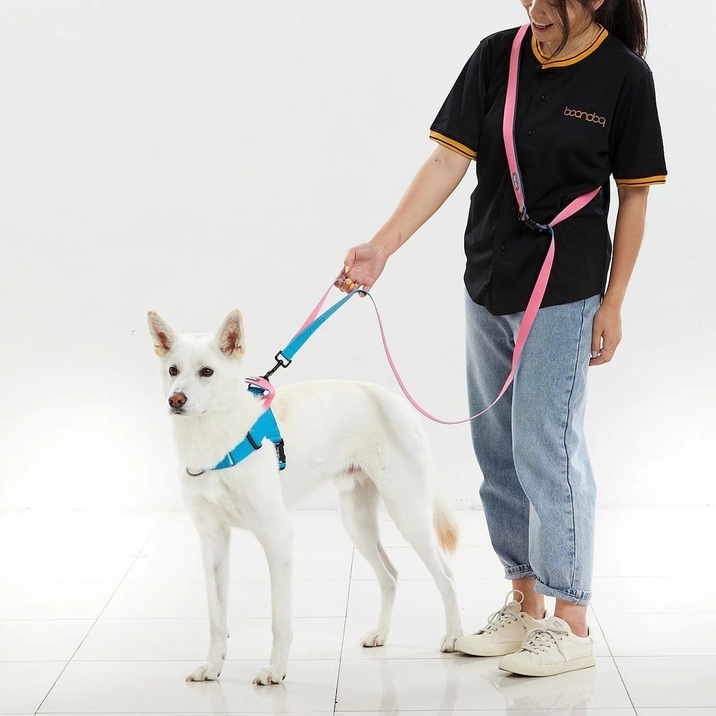 imgi_118_PlayLeash2.0_6