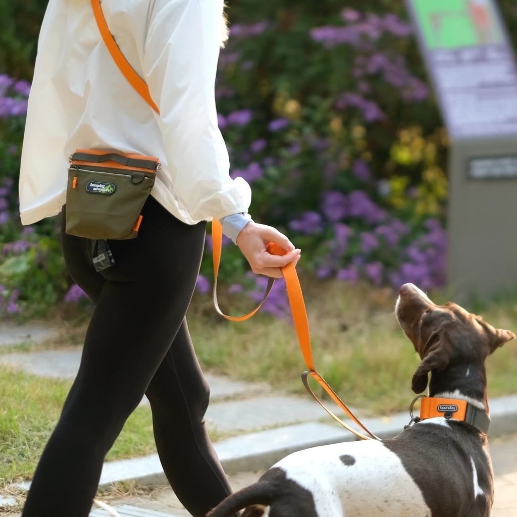 imgi_7_PlayLeash2.0_2