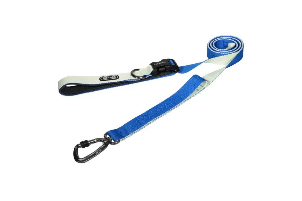 PlayLeash2.0_CreamBlue