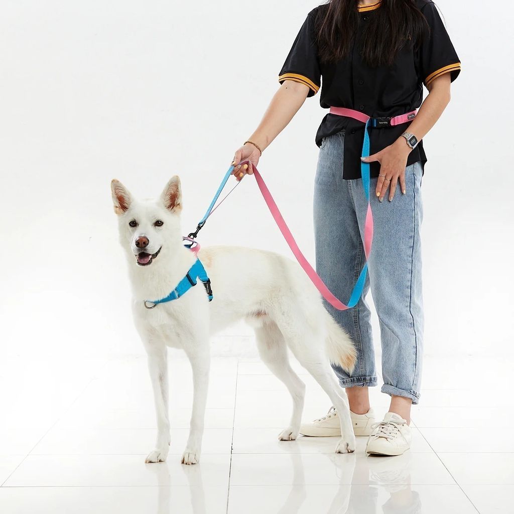 imgi_107_PlayLeash2.0_7