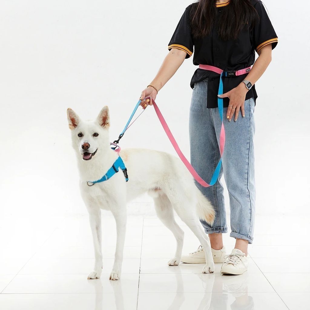 imgi_107_PlayLeash2.0_7