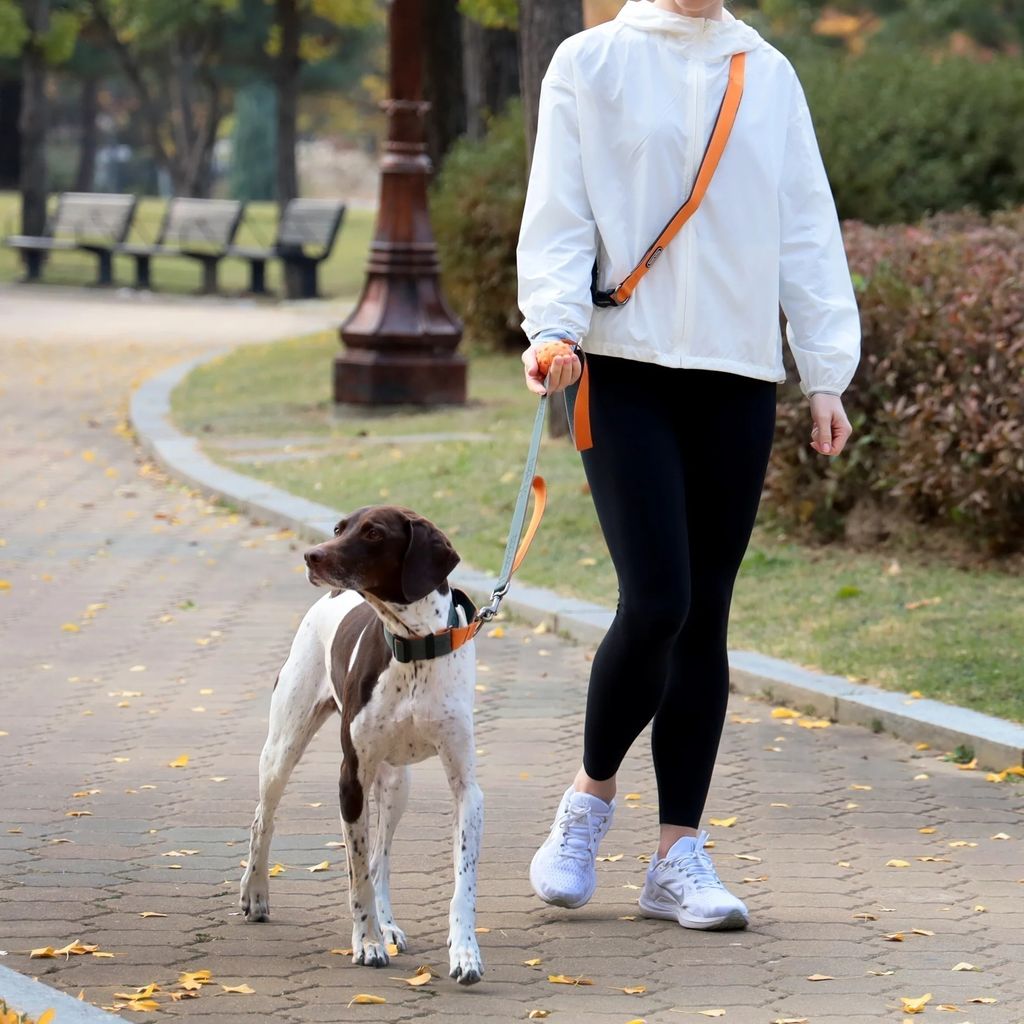 imgi_8_PlayLeash2.0_3