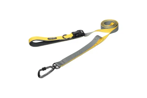 PlayLeash2.0_GrayLemon