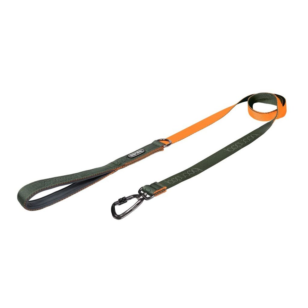 imgi_29_카키오렌지