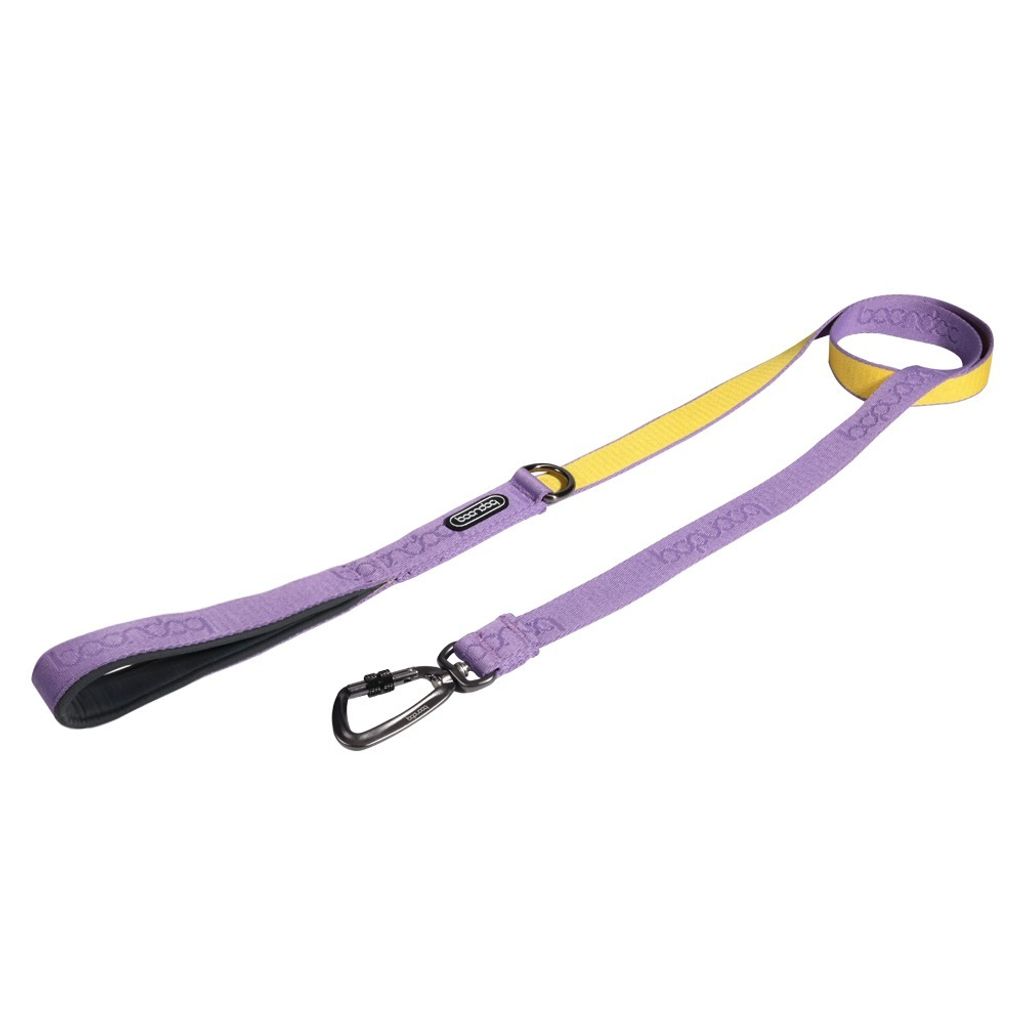 imgi_27_오리지널리쉬_퍼플레몬