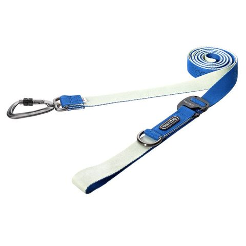 imgi_31_크림블루