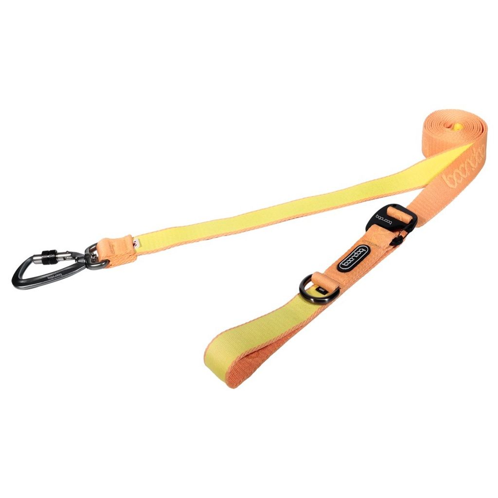 imgi_29_플레이리쉬250320_피치